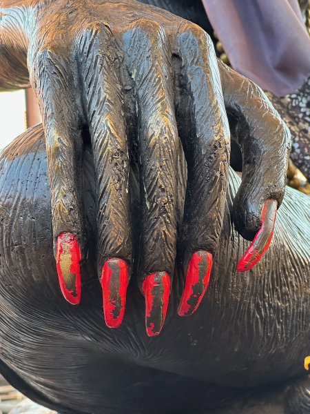Détail d'une main du magicien avec de grands ongles peints en rouge.