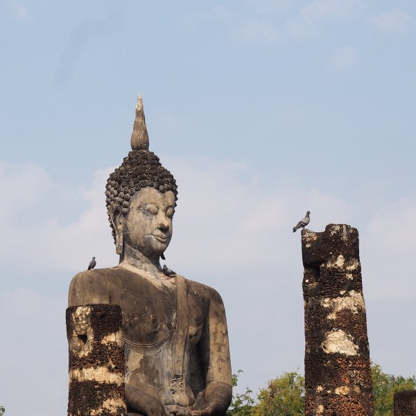 Une statue d'un bouddha avec des pigeons perchés sur ses épaules