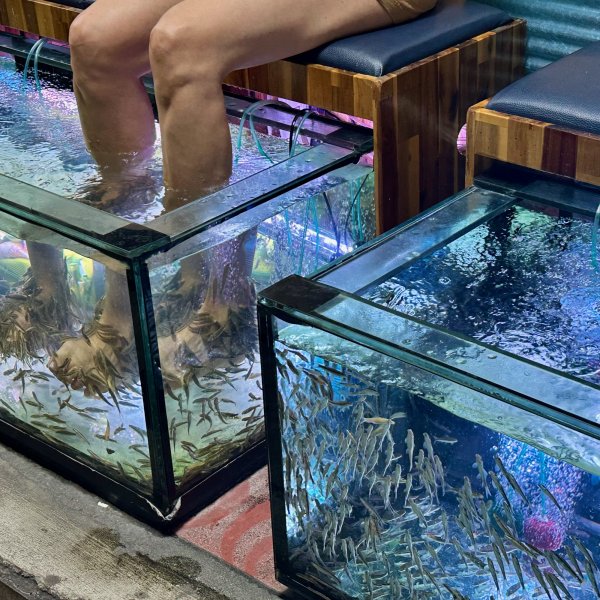 Des aquariums remplis de petits poissons sont installés sur le trottoir. Deux jambes sont plongées dans un des bacs où les poissons grignotent en grappe, la peau humaine.