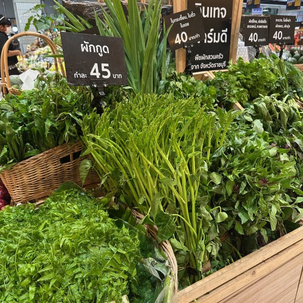 Des légumes feuilles joliment présentés