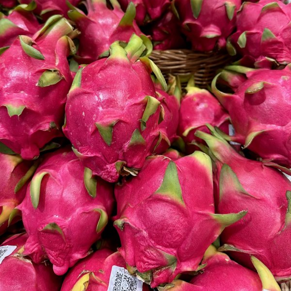 Des pittayas très rose