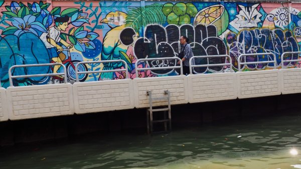 Une fresque murale colorée représentant des oiseau, des fleurs, un chat, un homme à vélo, sur un mur qui borde le quai.