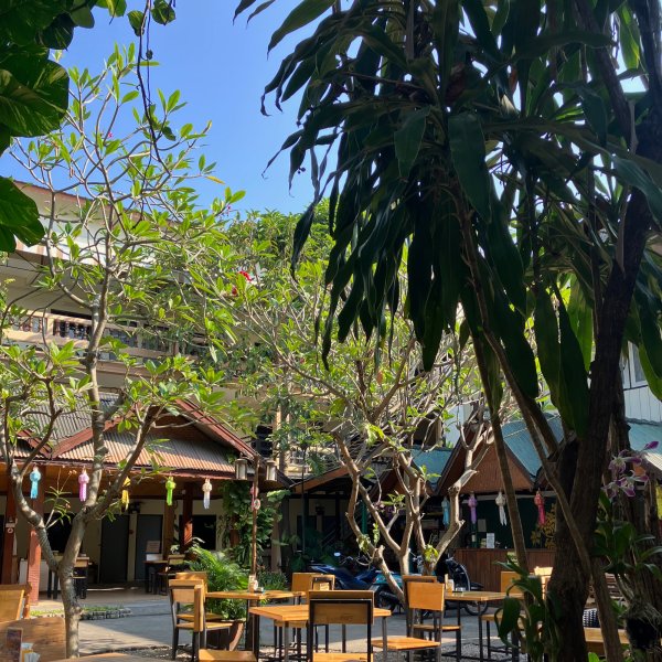 Le jardin de la GuestHouse avec tables chaises et verdure