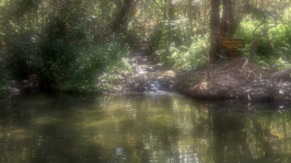 Un autre bassin d'eau chaude à 36 degrés noyé dans la végétation.