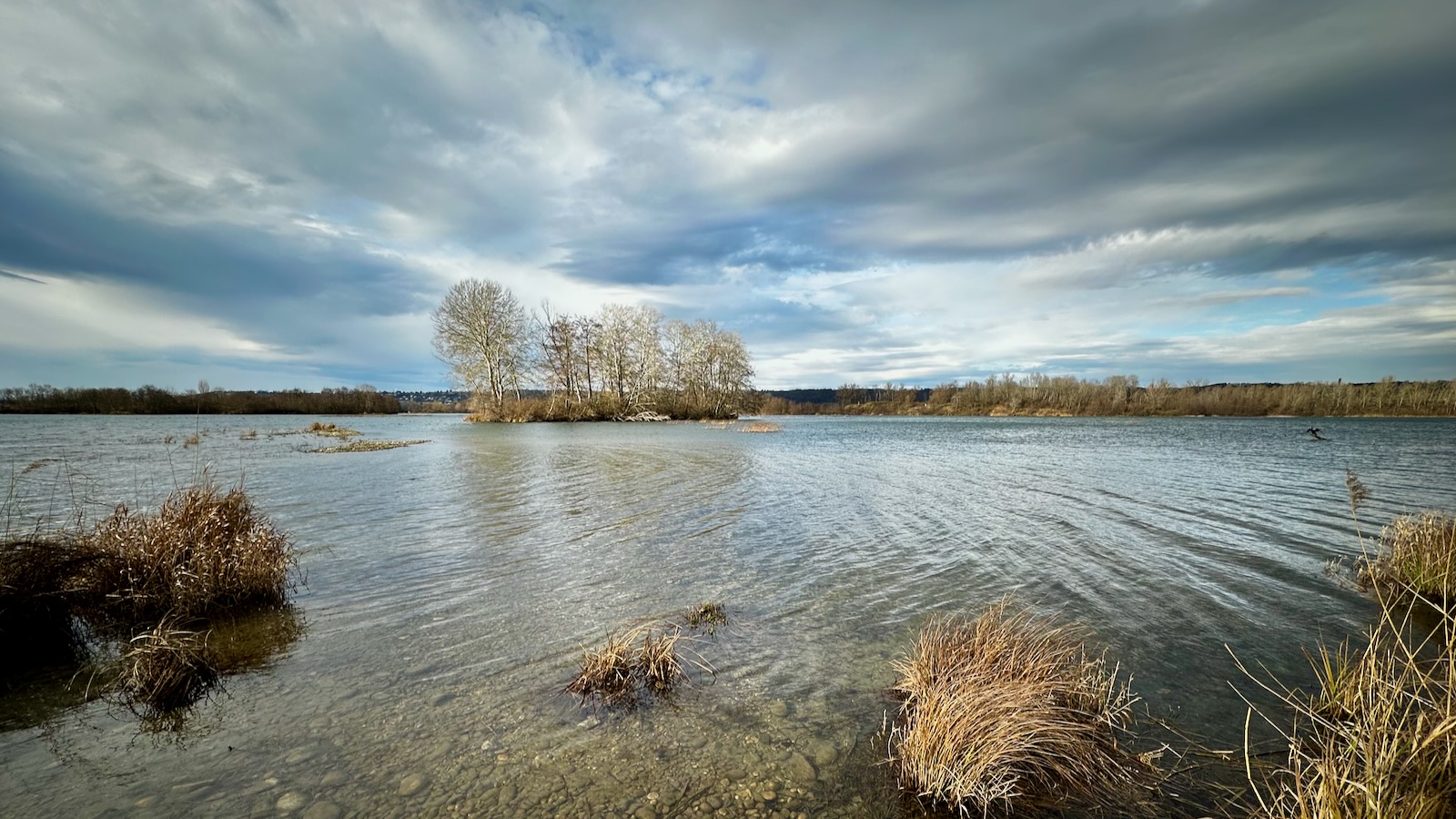 Un lac photographié au grand angle avec un arbre sur une petite île au centre en arrière plan.