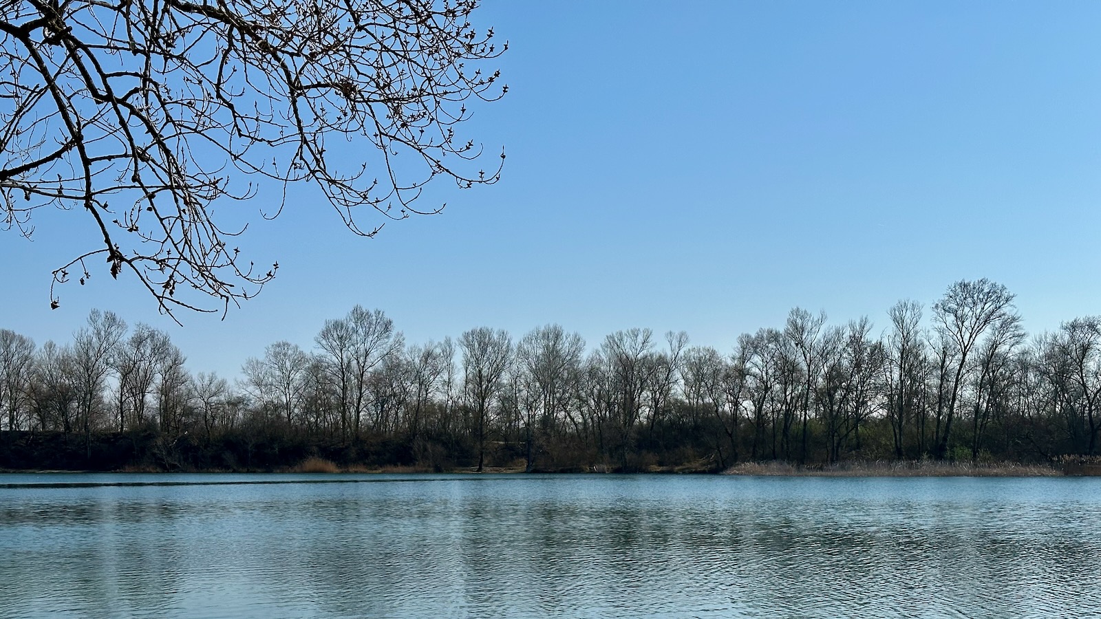 le lac avec des branches bourgeonnantes au premier plan dans l'angle gauche de la photo. Beau temps.